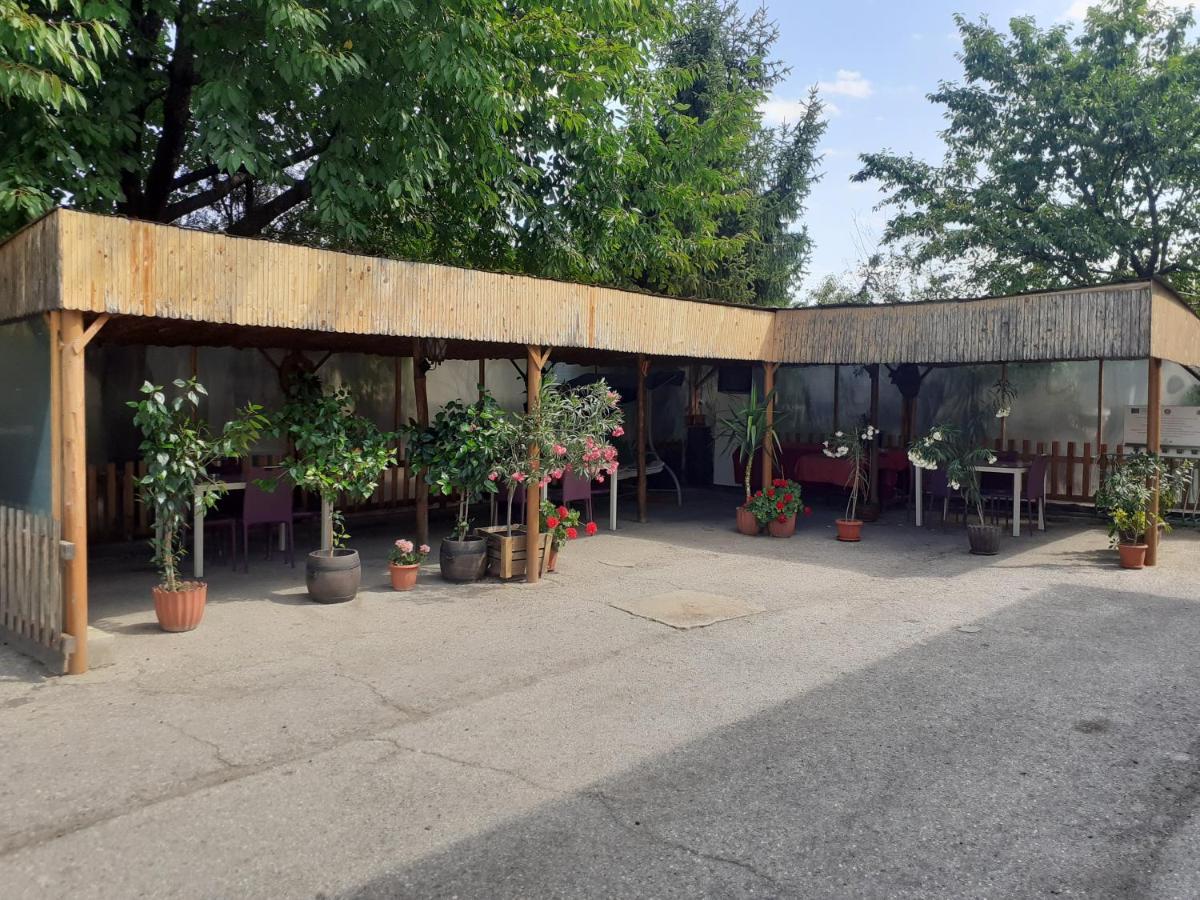 Guest House Edelvais Dve Mogili ภายนอก รูปภาพ