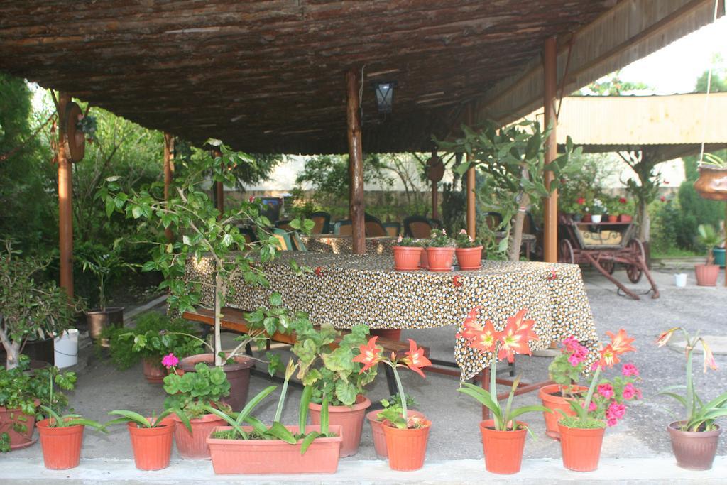Guest House Edelvais Dve Mogili ภายนอก รูปภาพ